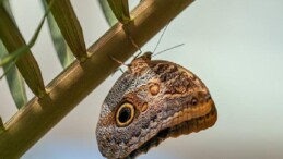 Selçuklu Belediyesi Ramazan Bayramı’na Hazır