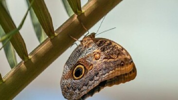 Selçuklu Belediyesi Ramazan Bayramı’na Hazır