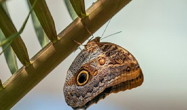 Selçuklu Belediyesi Ramazan Bayramı’na Hazır