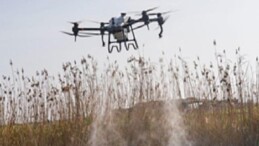 Sivrisinek ve zararlılara karşı İzmir modeli