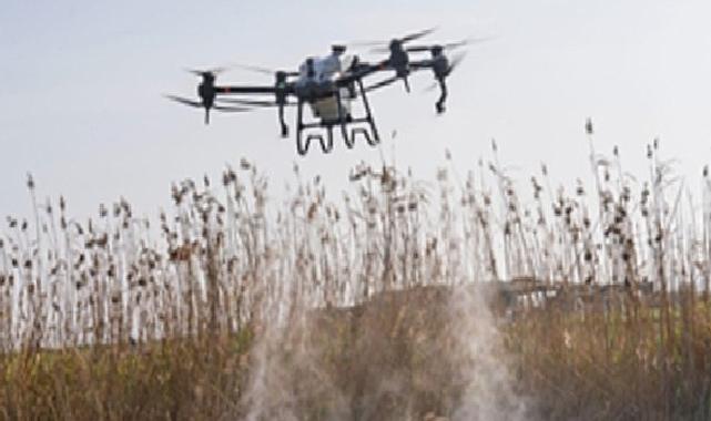 Sivrisinek ve zararlılara karşı İzmir modeli