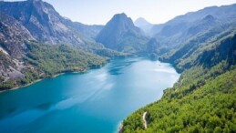 Su ve Orman: Tabiatın, Refahın ve Eşitliğin Temel Taşları