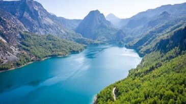 Su ve Orman: Tabiatın, Refahın ve Eşitliğin Temel Taşları