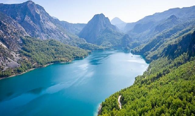 Su ve Orman: Tabiatın, Refahın ve Eşitliğin Temel Taşları