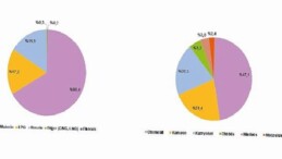 Ulaştırma Dalı Kesin Güç Tüketim İstatistikleri, 2024