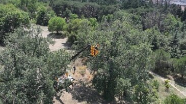 “Üsküdar Belediyesi’nin “Validebağ Korusu”nda Yaptığı Çalışmalar Avrupa’nın En Âlâ Uygulamaları Ortasında