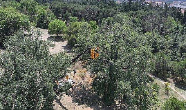 “Üsküdar Belediyesi’nin “Validebağ Korusu”nda Yaptığı Çalışmalar Avrupa’nın En Âlâ Uygulamaları Ortasında