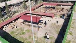 Vodafone ve Huawei, 5G Teknolojisiyle Fiber Hızını 81 İl 922 İlçede Evlere Taşıyacak