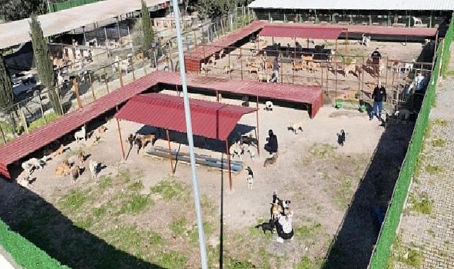 Vodafone ve Huawei, 5G Teknolojisiyle Fiber Hızını 81 İl 922 İlçede Evlere Taşıyacak