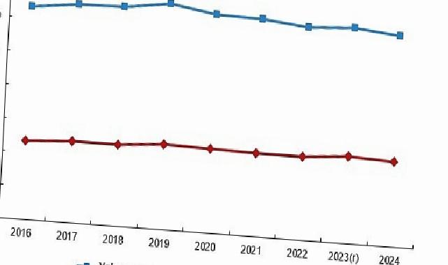 Yabancı Denetimli Teşebbüs İstatistikleri, 2024