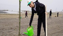 Yeni Ömür Alanında Çınar Ağaçları Yükselecek