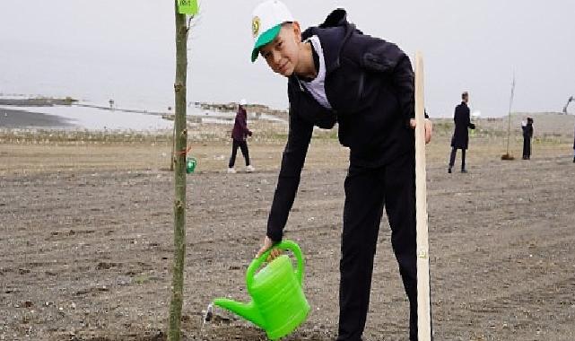 Yeni Ömür Alanında Çınar Ağaçları Yükselecek