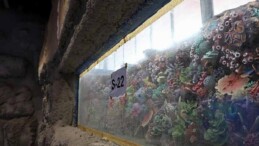 30 farklı akvaryum eşsiz bir seyahat yaşatacak