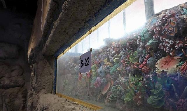 30 farklı akvaryum eşsiz bir seyahat yaşatacak