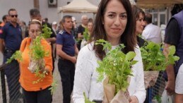 Atalık tohumdan geleceğe