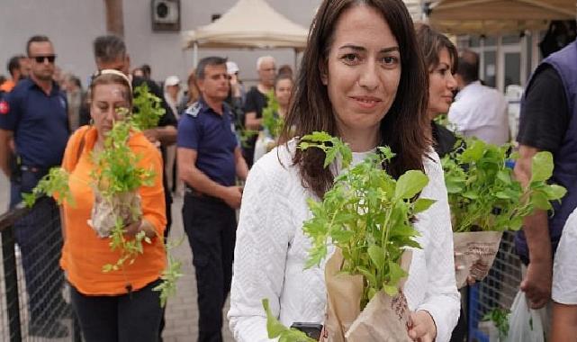 Atalık tohumdan geleceğe