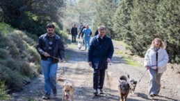 Barınaklardan 3 binin üzerinde hayvan sahiplendirildi