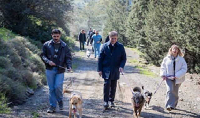 Barınaklardan 3 binin üzerinde hayvan sahiplendirildi