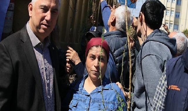 Bergama’dan Üretime Büyük Takviye: Ahlat Ağaçları Aşılandı, Binlerce Fidan Dağıtıldı