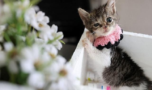 Buca Belediyesi ‘Zero’ için seferber oldu