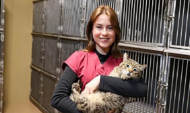 Buca’da 599 patili dost sıcak yuvaya kavuştu