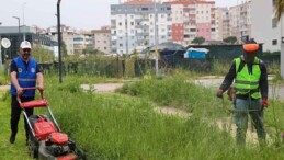 Buca’da bahar paklığı