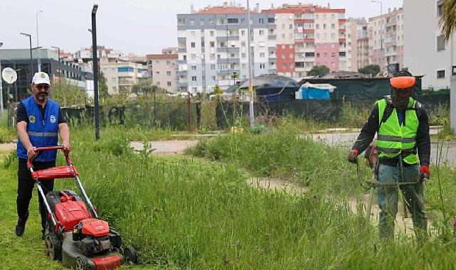 Buca’da bahar paklığı