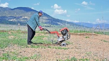 Büyükşehir ipek böceği yetiştiriciliğini yaygınlaştırıyor