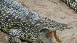 Büyükşehir’den çocuklara bayram armağanı