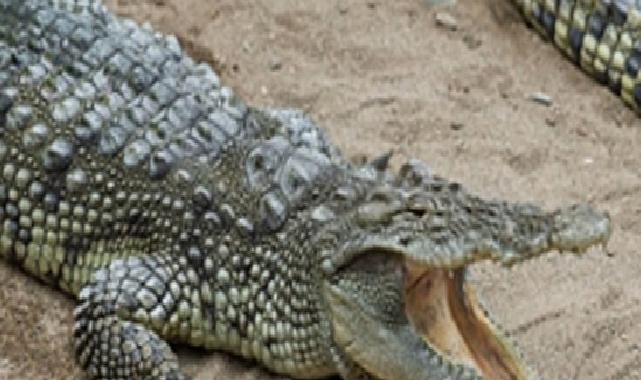 Büyükşehir’den çocuklara bayram armağanı