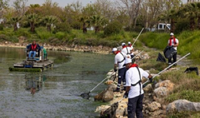 Çakalburnu Lagünü’nden Körfez’e yayılan yosunlara ağır müdahale