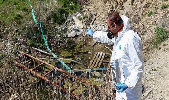 Çankaya’da İlaçlama Çalışmaları Hızlandı