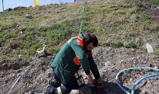 Çankaya’da Kurban Bayramı Hazırlıkları Başladı