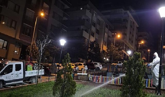 Çankaya’da Sinek ve Haşereye Karşı Gece Mesaisi
