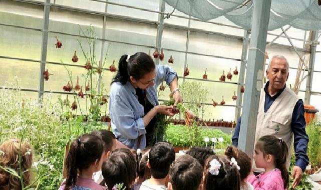 Çocuklar Toprak Sevgisini Osmangazi’de Öğrendi