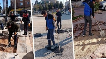 Daha Tertipli Bir İlçe İçin Sahadalar