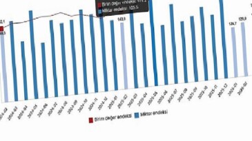 Dış Ticaret Endeksleri, Şubat 2026