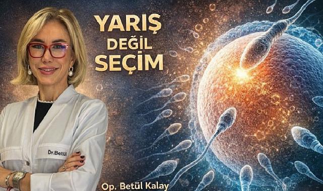 Döllenmede son kelam bayanın