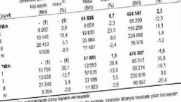Hanehalkı Yurt İçi Turizm, IV. Çeyrek: Ekim-Aralık 2025