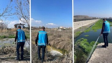 Haşereyle çaba aralıksız sürüyor