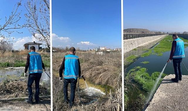 Haşereyle çaba aralıksız sürüyor