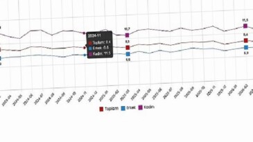 İşgücü İstatistikleri, Mart 2026