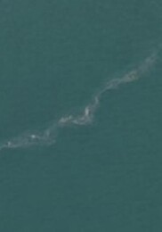 İzmir Körfezi’nde 13. dış kaynaklı kirlilik olayı