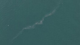 İzmir Körfezi’nde 13. dış kaynaklı kirlilik olayı