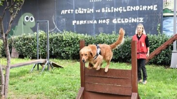 Kadıköy Belediyesi 4 Sertifikalı Arama Köpeği Olan Tek İlçe
