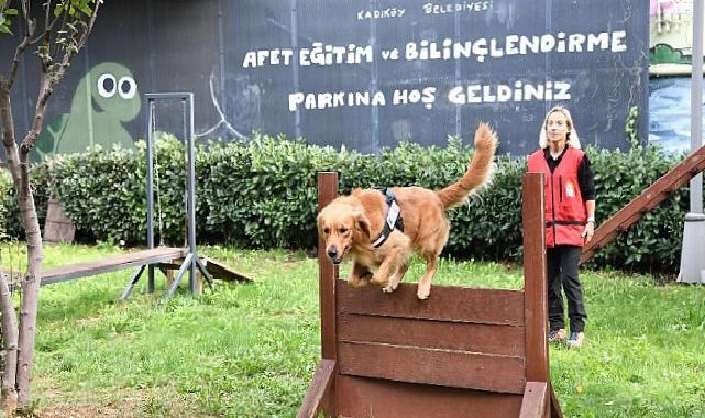 Kadıköy Belediyesi 4 Sertifikalı Arama Köpeği Olan Tek İlçe
