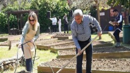Kadıköy Bostanları’nda Yaz Devri Başladı