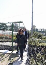 Karşıyaka Belediyesi üretiyor, parklar çiçek açıyor