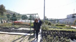 Karşıyaka Belediyesi üretiyor, parklar çiçek açıyor