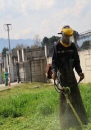 Kartepe’de Yeşil Alanlarda Bakım Seferberliği